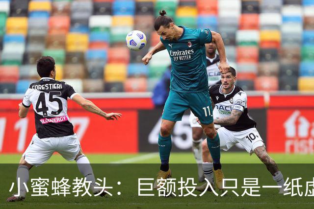 小蜜蜂教头：巨额投入只是一纸虚幻，实力还需实战证明